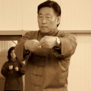 Grandmaster Chen Xiaowang demonstration Taiji