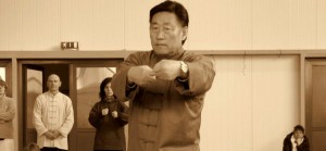 pushing hands Chenstyle Taijiquan