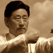 Tchaj-ťi čchűan Čchen – Grandmaster Chen Xiaowang