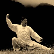 Chenstyle taijiquan – Grandmaster Chen Xiao Wang