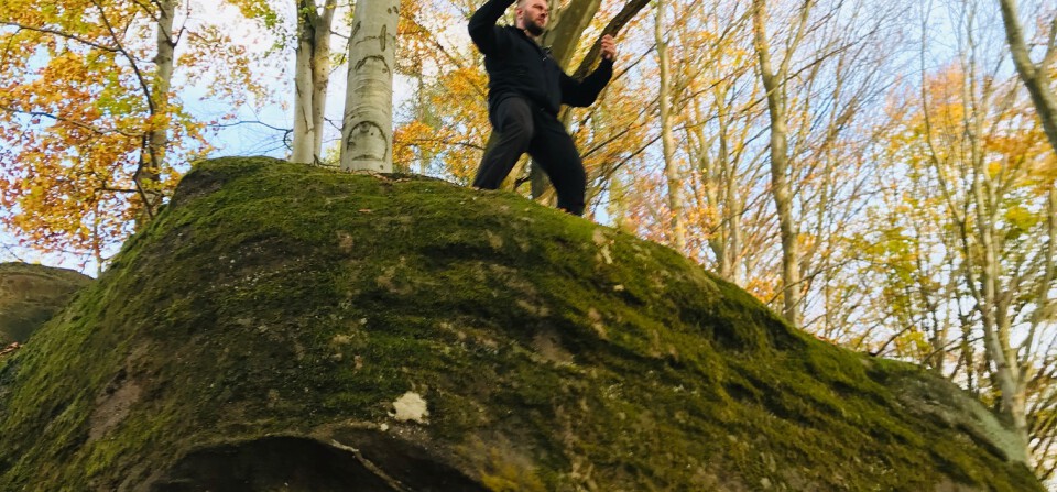 Do hloubi, pod kapradím a mechem….