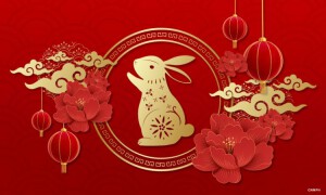 /data/www/taiji chenstyle cz/www/wp content/uploads/2023/01/Year Of the Rabbit CNNPH