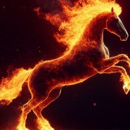 Rok ohnivého koně 2026