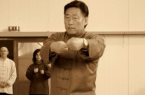Pushing hands Taijiquan 3 – Chen Xiaowang a Chen Bing