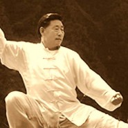 Mistr Chen Xiaowang sestava Lao-ťia ji-lu