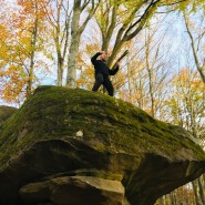 Do hloubi, pod kapradím a mechem….