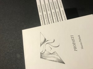 Milostná poezie Martin Pařízek