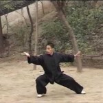 Tai Chi Workshop with Master Chen Ziqiang