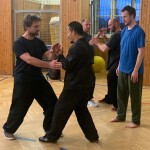 Prague seminar with Chen Ziqiang